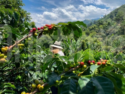 Transformación Agrícola en Colombia: El Éxito de Juan Carlos Moreno con Driptime